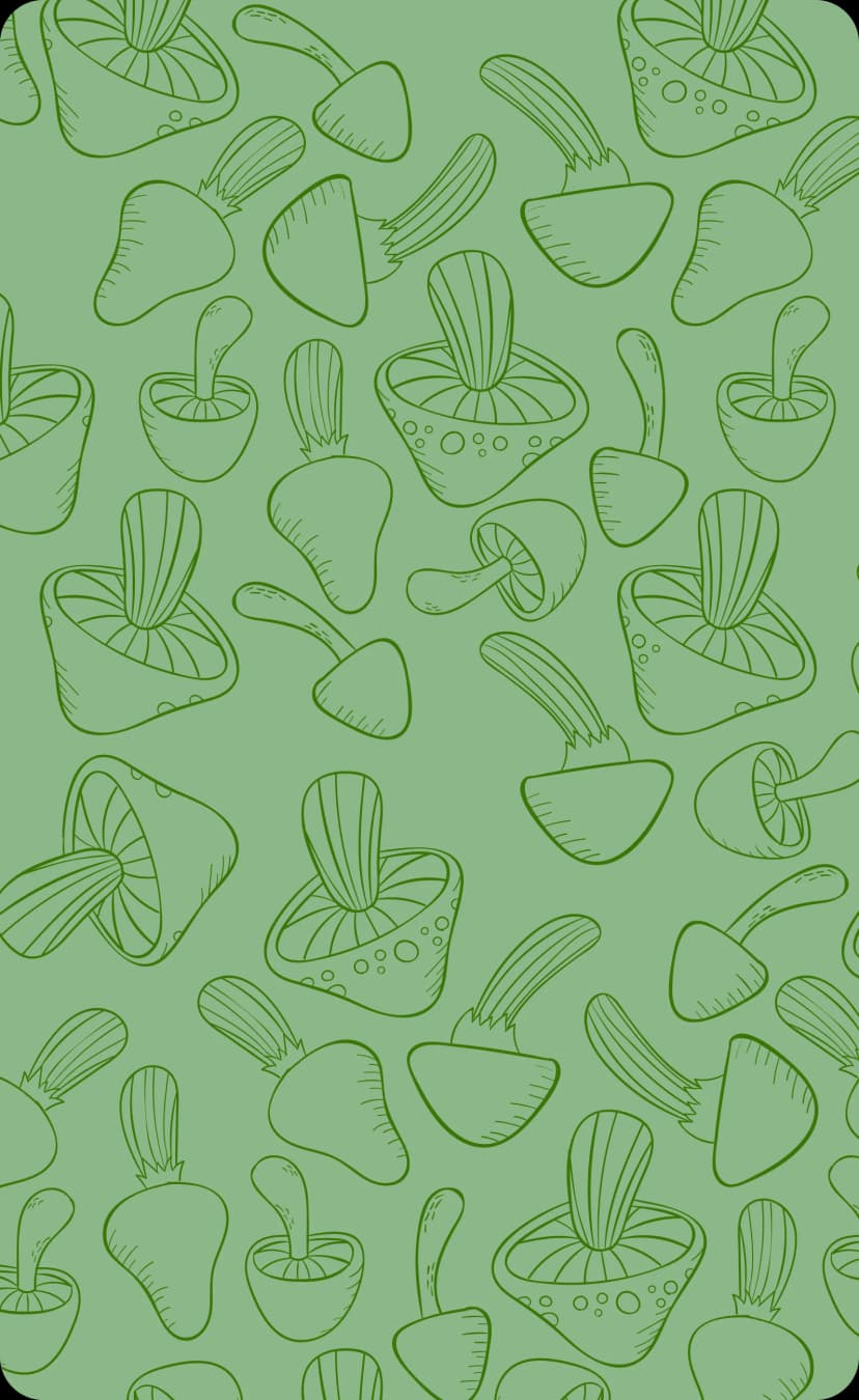 image-card